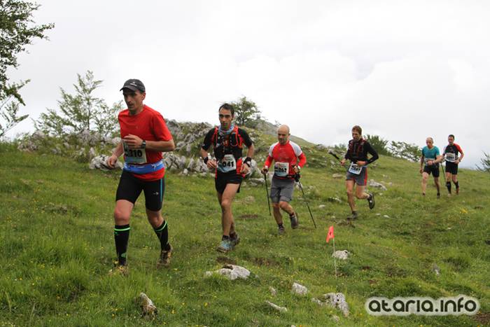 T3T tontor 2016 hernio 57 1466351091432