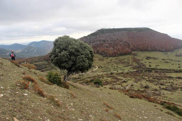 Mendi irteera