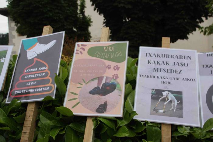 Txakur kakak jasotzeko karte 4 1653302369301