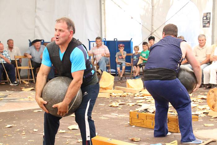 Asteasuko Festak 2016-Erretirodunen Eguna 29 1467297902598