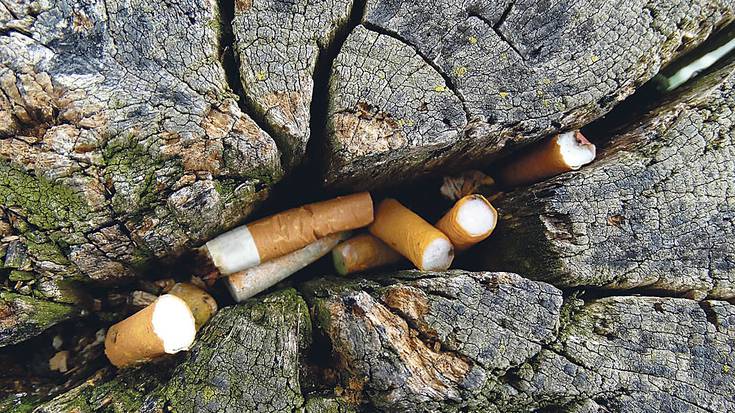 "Zigarrokinak oso toxikoak direla ahazten zaigu askotan"