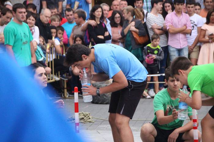 Zaldi gainean lasterka Abalt 65 1498413400268