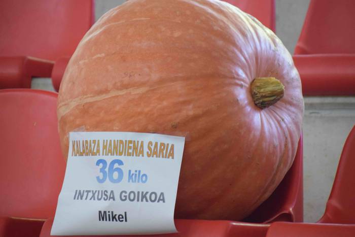 Jendetza mugitzen duen eguna 41 1538313518859