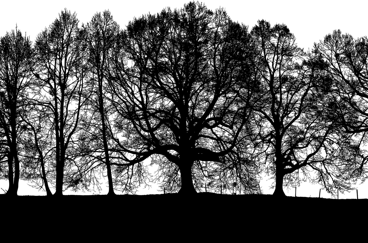 Bihotzean min