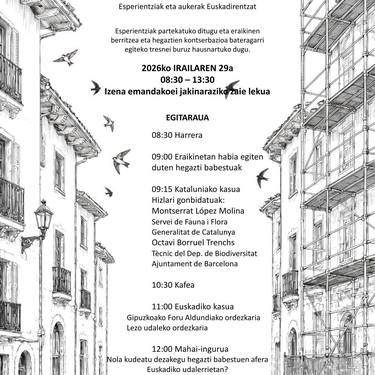 Hegazti tailerra