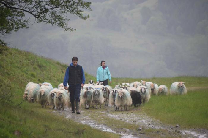 Larre irekiera Berastegi 202 12 1621072172050