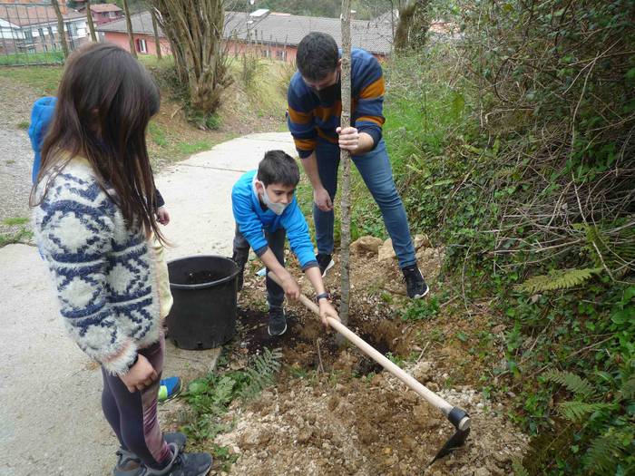 Zuhaitz landaketa Uzturpe ik 2 1616755853513