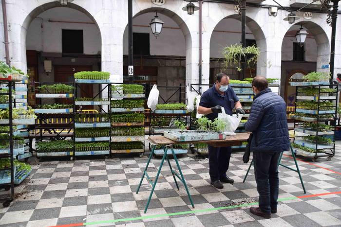 Tolosako azoka ohiko lekueta 23 1589626964641