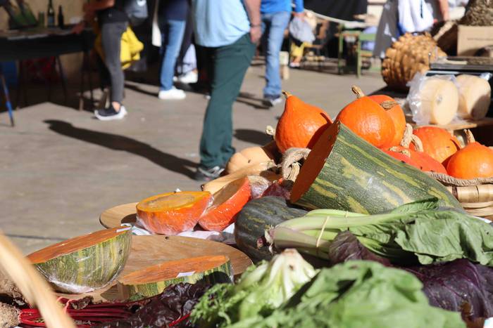 Zer ikusi izan da Bedaion 12 1668343699041