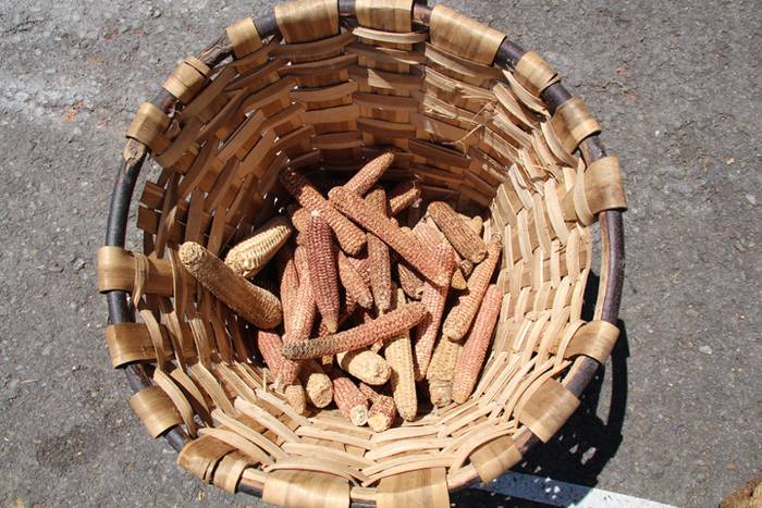 Santamaña Eguna Asteasun 2016 33 1468852637450