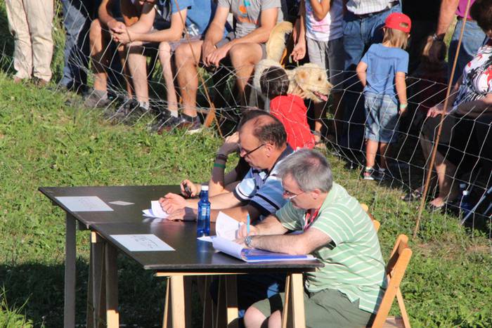 Artzaina eta txakurraren artea Amezketan 15 1472322373243