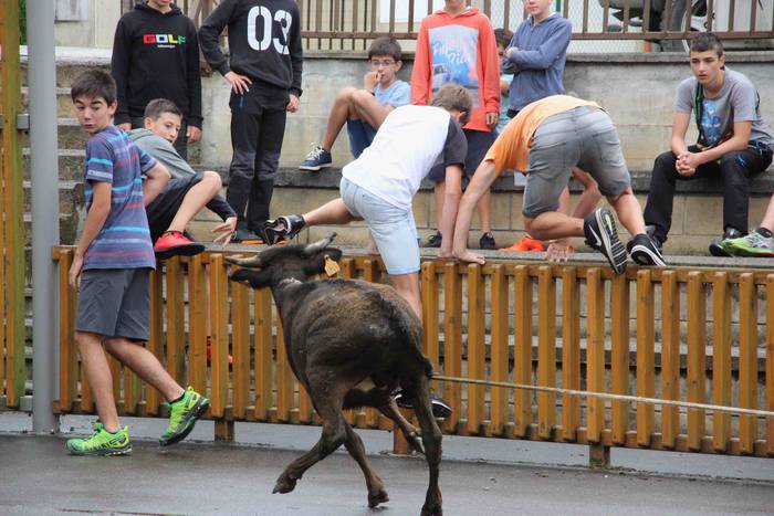 hernialde festak puzgarriak  34 1534160423827