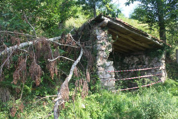 Iritzibar karobia, Zizurkil  6 1516092838393