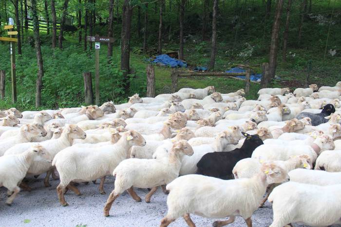 Larre irekiera ekitaldi bere 47 1588336799540