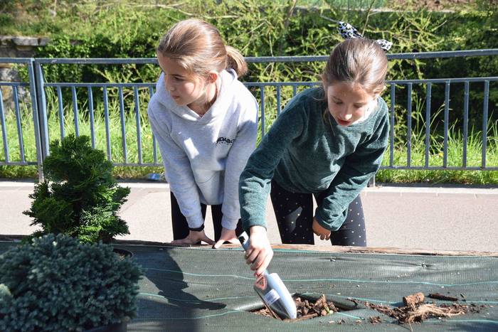 Zuhaitz Eguna ospatzen ari d 6 1553854234335