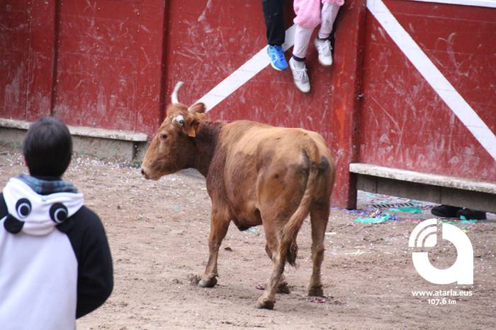 Zezenak adarrak okerrak ditu 46 1488277418828