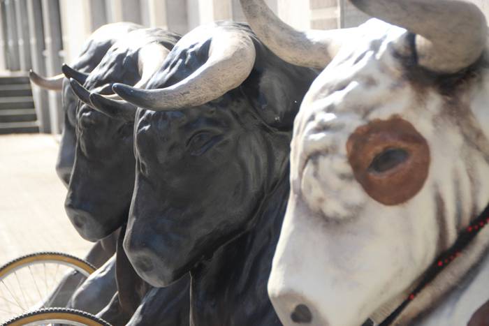 Zezenen aurretik korrika 3 1472903591236