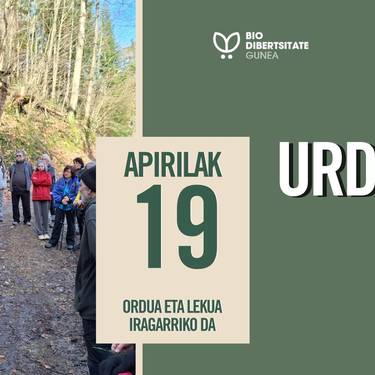 Biodibertsitate Gunea