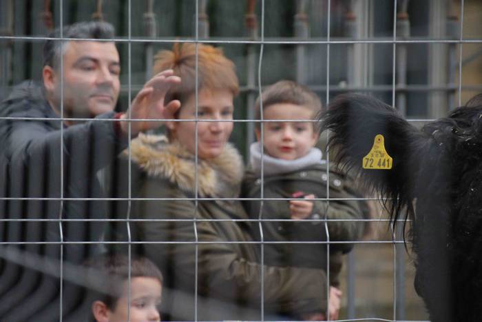 Tolosako Gabonetako Azoka Berezia 2018 55 1545489454794