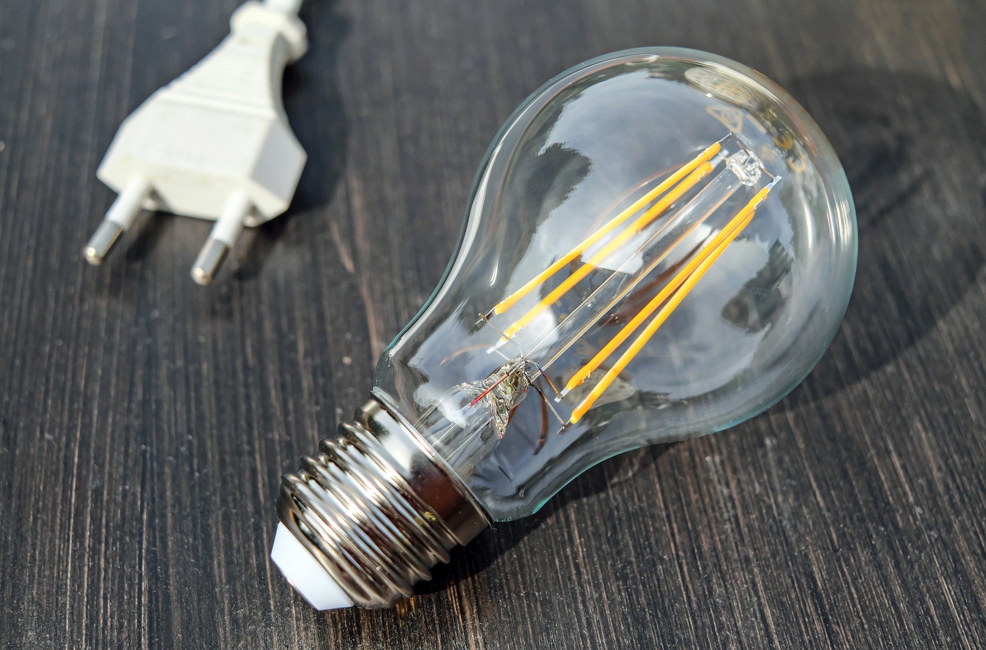 Beharrezko energia soilik kontsumitzeko aholkuak eman ditu, Tolosako Udalak