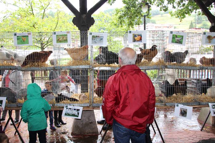 Ibarra, azoka eta piparra 67 1474219125280