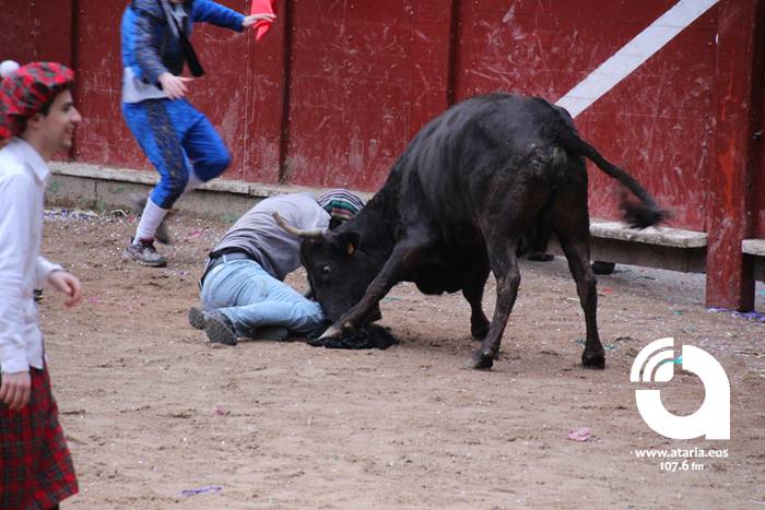 Zezenak adarrak okerrak ditu 29 1488277323159