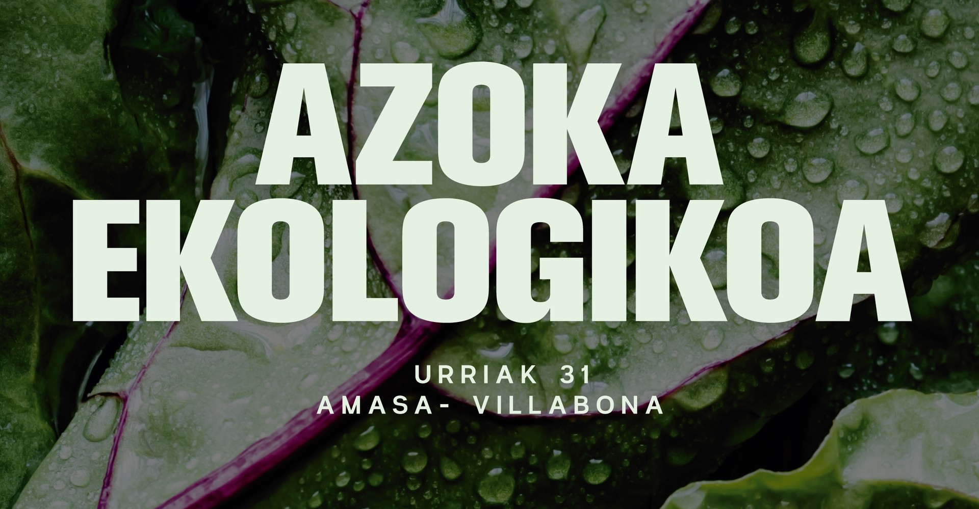 Villabonako I Azoka Ekologikoa, igandean, Erreboteko plazan