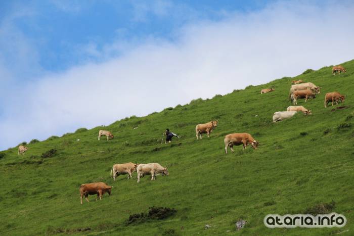 XIV Orduak Minak - Larrondo 164 1464547205605