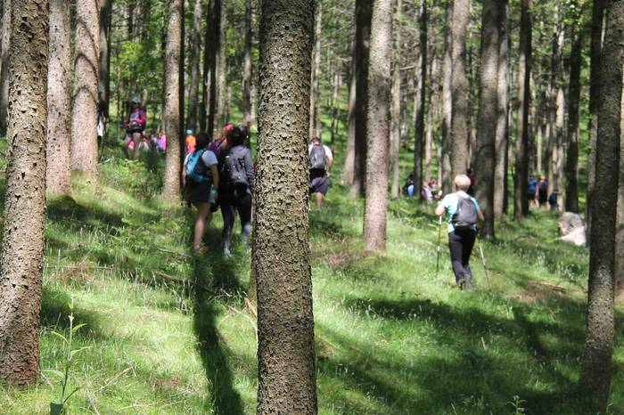 Fleming mendi irteera 10 1559657923219