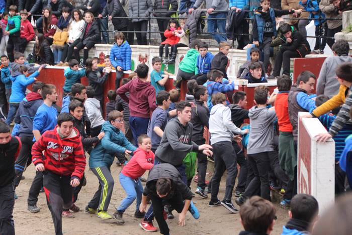 Txaranga eta zezenak piñata  7 1488738758276