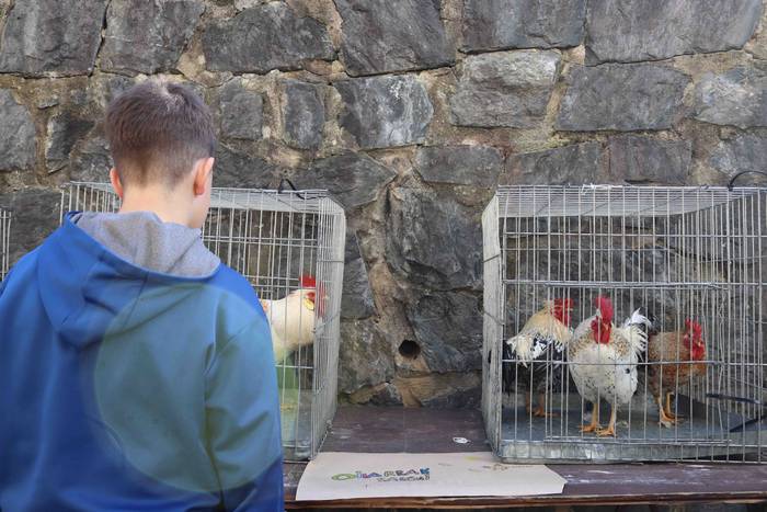 Zer ikusi izan da Bedaion 19 1668343703824