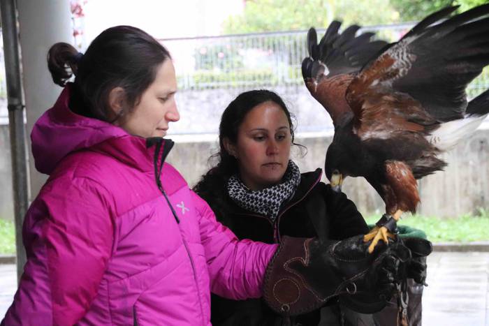 VIII. Udaberriko Azokaz goza 33 1558278841231