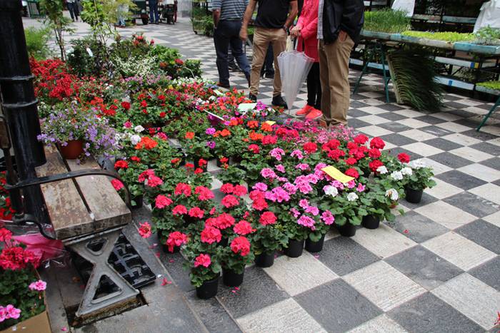 Lore eta Landare Azoka Tolosan 2016 17 1465051788349