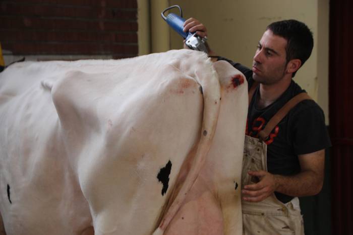 Frisoi Txapelketa 2015 8 1447530177836