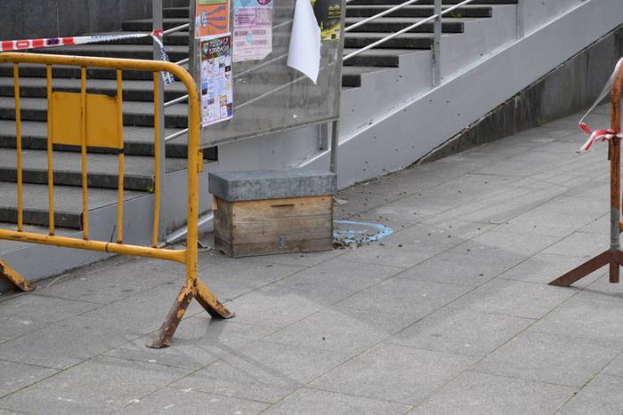 20.000 erle inguru Usabalen 9 1493910704775