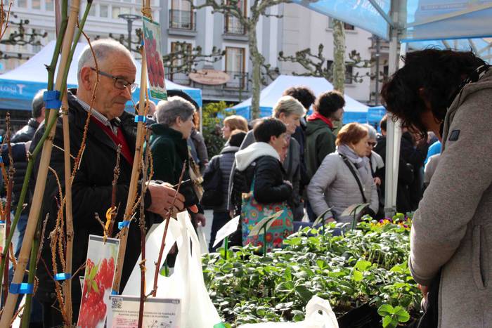 Tolosako Lore eta Landare Az 10 1549717197530