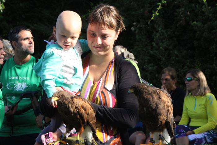 2016 bidea 12 1471775833154