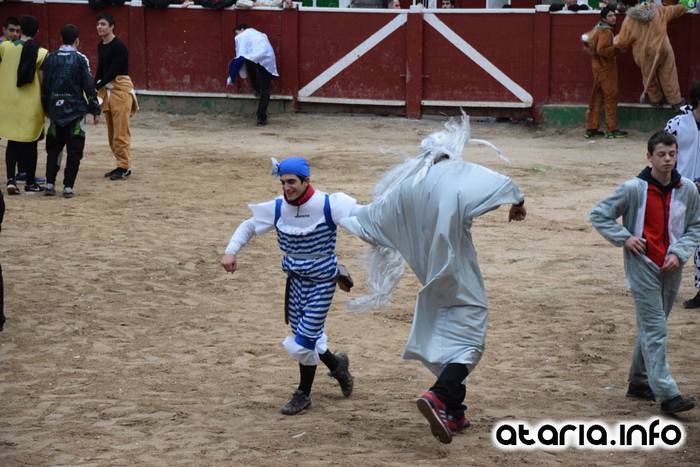 Pattar zezena 2016 20 1455012388639