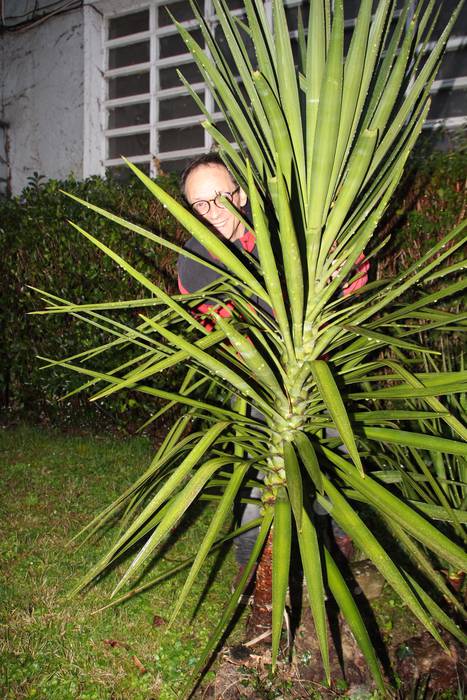 «Antolakuntzako kideek onartu zuten aurten pasa egin direla»