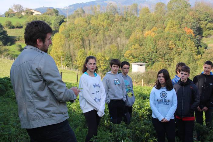 Piperraren zikloa 2015 4 1445442211731