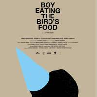 Boy eating the bird's food