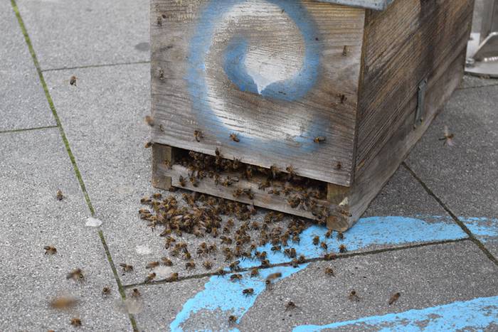 20.000 erle inguru Usabalen 3 1493910669484