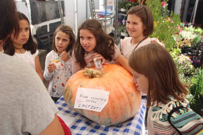 Bidania Goiatz Azoka Berezia 34 1538321634497