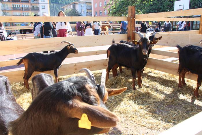 Euskal jaia eguna Anoetan 23 1476015504722