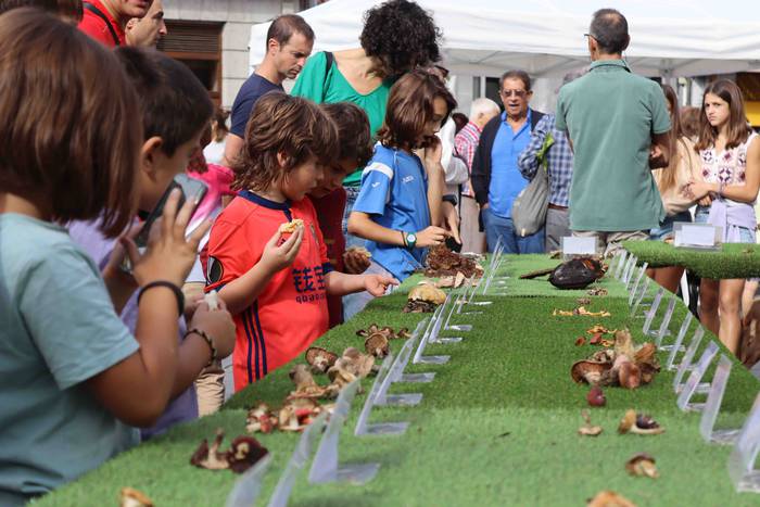 Perretxikoen plaza 36 1666439576823