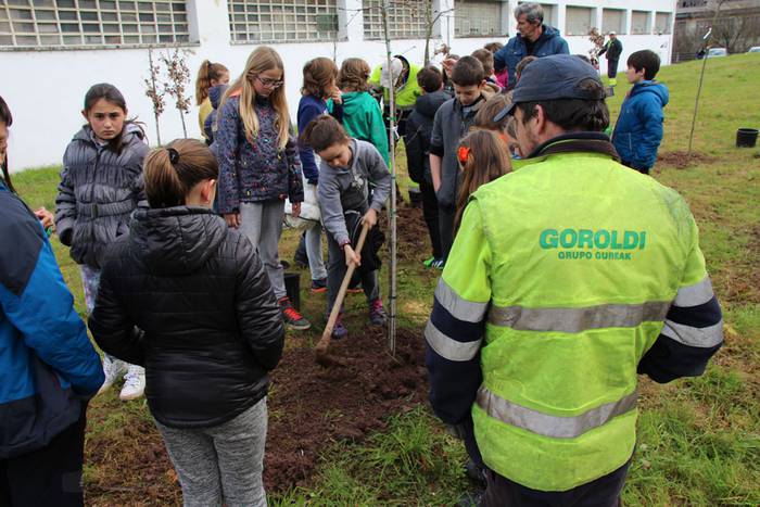 zuhaitz landatzea 2016 tolosa 3 1456503822588