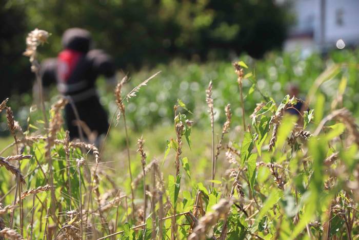 Garia bildu dute ogia egitek 23 1532422119207