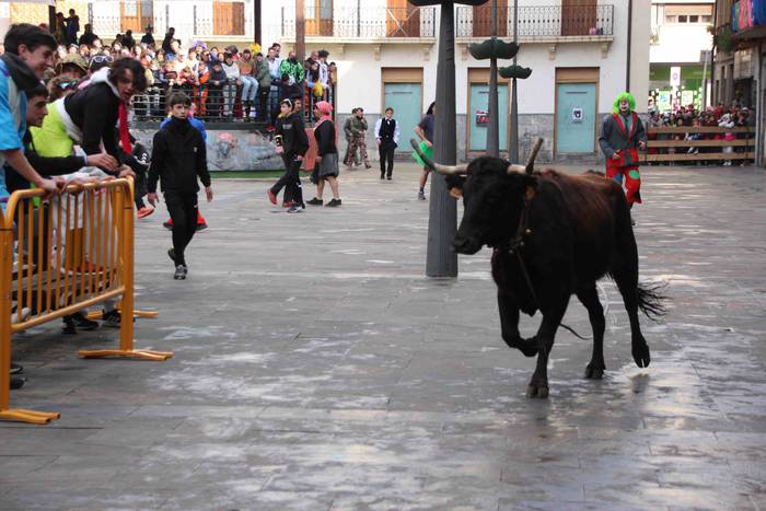 Soka zintzilik eta muturrak  20 1646140694243