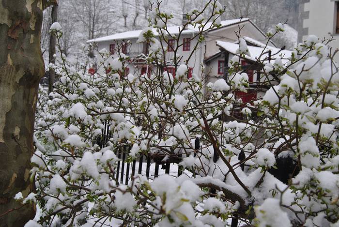 Argazki galeria: Tolosaldea, 27 1519809816492