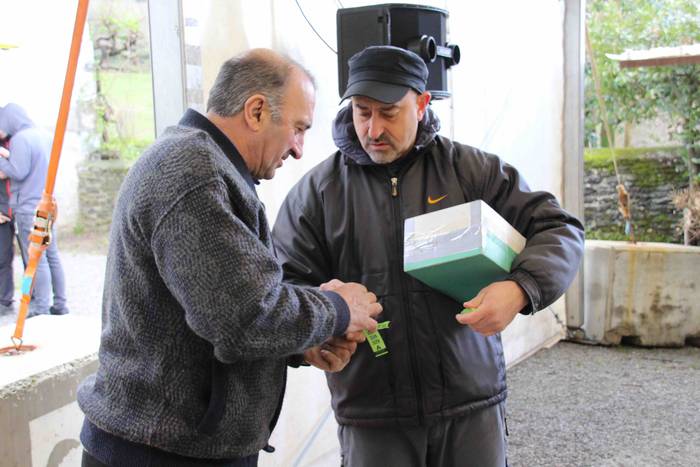 Tolosa San Blas auzoan jaiak 14 1549122800836